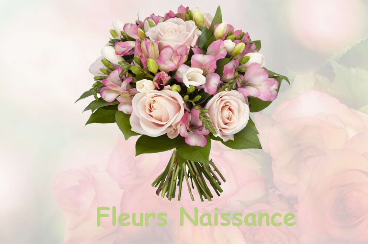 fleurs naissance CLOHARS-FOUESNANT